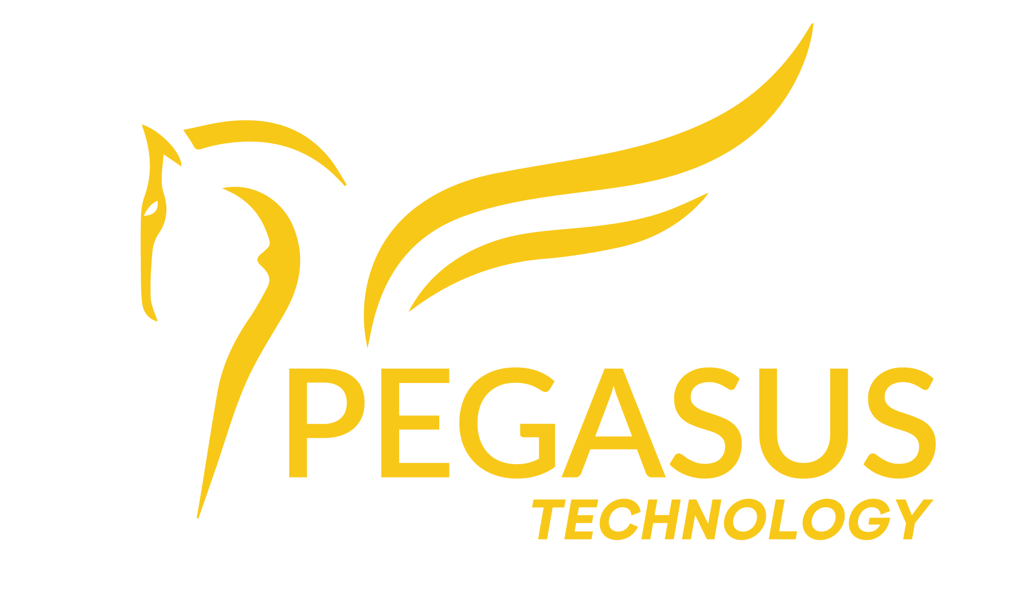 Pegasus Technology